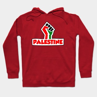 Palestine Hoodie